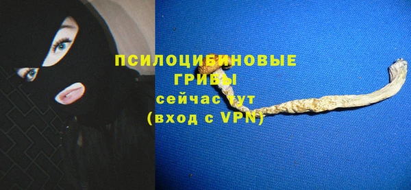 гидропоника Нязепетровск