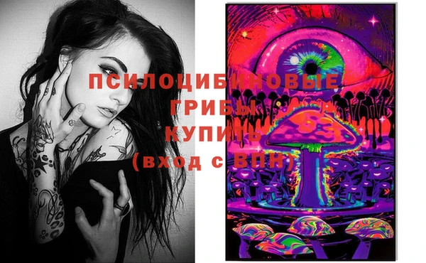 дурь Нягань