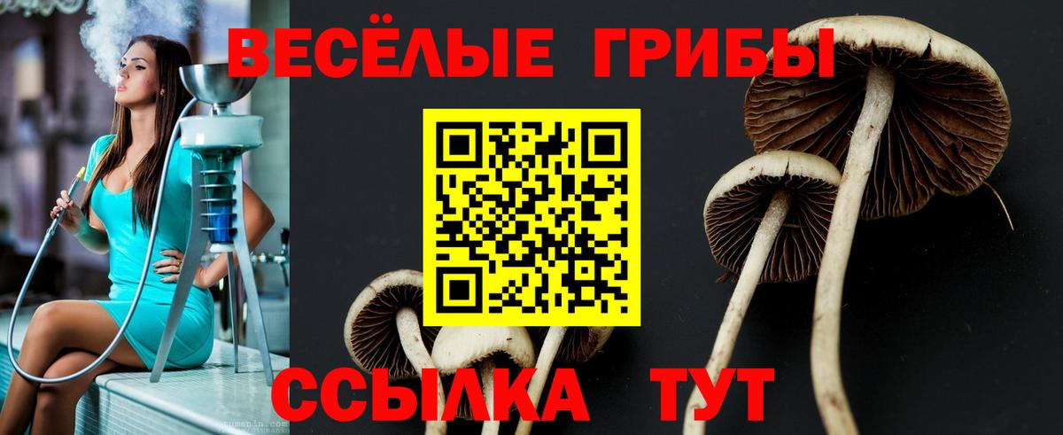 Псилоцибиновые грибы мухоморы  Вход с VPN  Апрелевка  Галлюциногенные грибы мицелий 