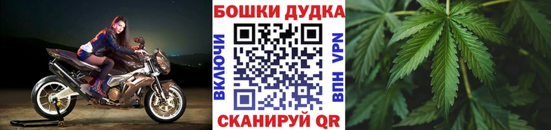 сколько стоит  mega ссылка  Бошки марихуана SATIVA & INDICA  Апрелевка 